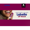 LABELLO BLACKBERRY SHINE MELT-IN MOISTURE CARING LIP BALM​ 4.8G/ 5.5 ML